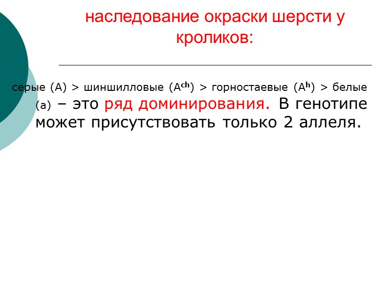 наследование окраски шерсти у кроликов:  серые (А) > шиншилловые (Аch) > горностаевые (Аh)